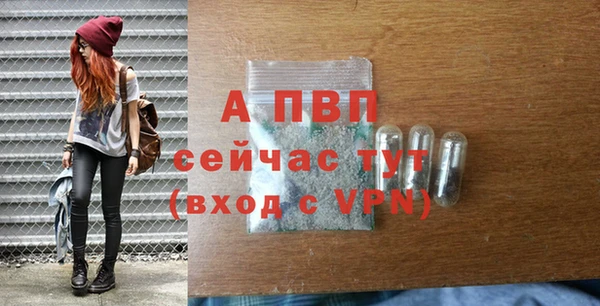 a pvp Алзамай