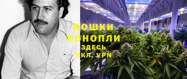 гидра Алексин