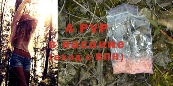 a pvp Алзамай