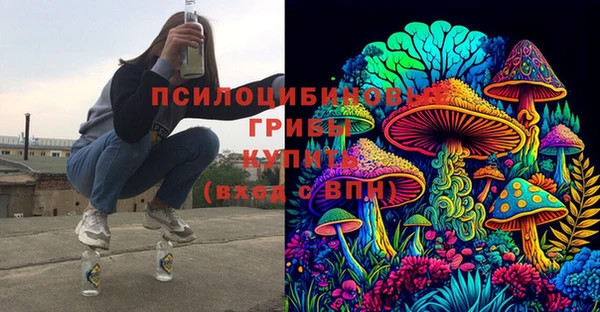 2c-b Алексеевка