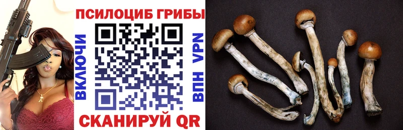 Галлюциногенные грибы мицелий  сайты даркнета как зайти  Дудинка 